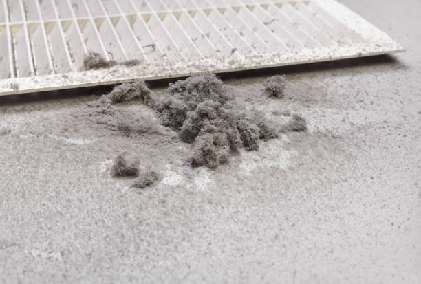 Best Ventilation Cleaning Services  in Waynesville, MO