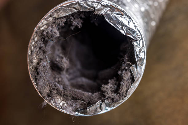Best Affordable Duct Cleaning Services  in Waynesville, MO